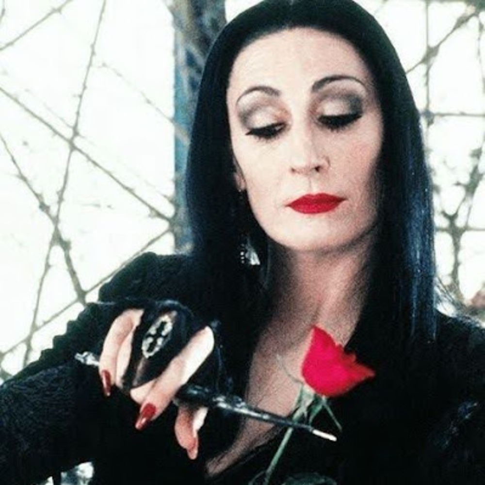 Meet your Posher, Payton